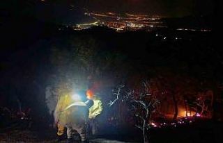 Aydın - Denizli sınırında çıkan orman yangını...