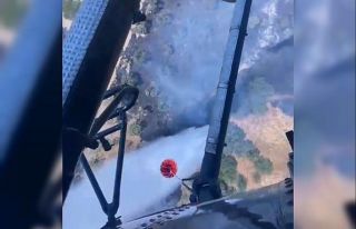 Aydın zirai alan yangını kontrol altına alındı