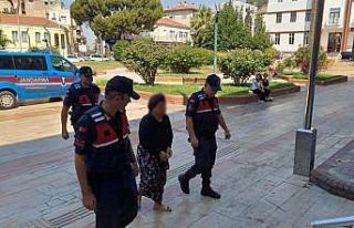 Aydın’da dağları ateşe veren öfkeli gelin serbest...