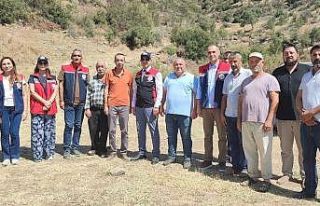 Aydın’da mera ıslah projeleri sürüyor