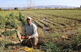 Aydın’da su kıtlığı çiftçilerin mesai saatlerini...
