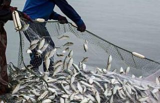 Aydın’da su ürünleri av sezonu törenle açılacak