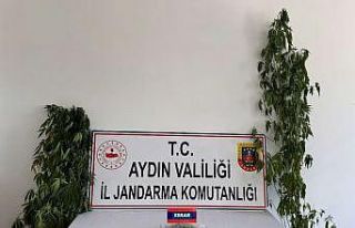 Aydın’da uyuşturucu operasyonu: 13 şüpheli yakalandı