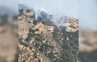 Aydın’da zirai alandaki yangını söndürme çalışmaları...