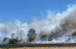 Ayvacık’ta çöplük alanda çıkan yangın ormana...