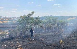 Babaeski’de ağaçlık alanda çıkan yangın söndürüldü
