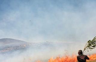 Bahçesaray’da arazi yangını