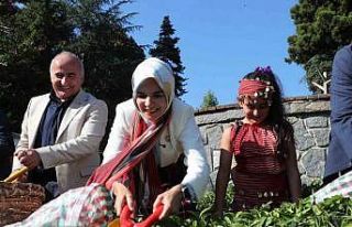 Bakan Göktaş’tan Rize’de Aile Yılı kapsamında...