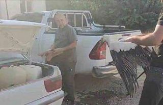 Balçığa saplanan leyleğin imdadına balıkçılar...