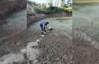 Balçıkta mahsur kalan kuzu operasyonla kurtarıldı