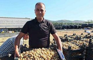 Balıkesir’ de Havran ilçesi incir de Aydın’a...