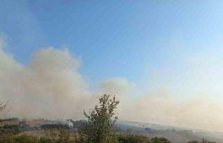 Balıkesir’de arazi yangını