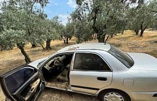 Balıkesir’de çalınan otomobil zeytin tarlasında...