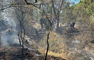 Balıkesir’de kırsal alanda çıkan yangın kısa...