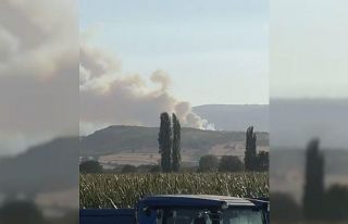 Balıkesir’de orman yangını