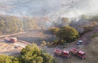 Balıkesir’deki orman yangını kontrol altına...