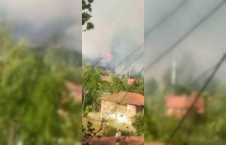 Bartın’da orman yangını: Alevler rüzgarın etkisiyle...