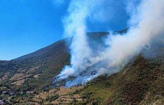 Bartın’da yangın bölgesi havadan görüntülendi
