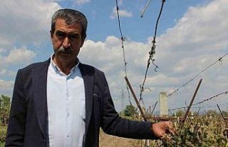 Başkan Altındağ: "İBB’nin Manisa’da su...