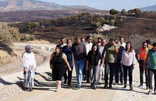 Başkan Bucak, Lice’deki yol çalışmasını yerinde...