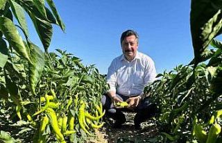 Başkan Özel’den tarım işçilerine ziyaret