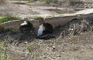 Başkan Sürücü: "Eğer önlem alınmazsa taşköprü...