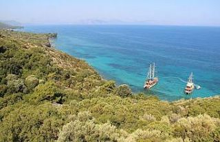 Başkan Sürücü: "Milli Parkı hep birlikte...