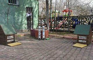 Başkan Tahmazoğlu: "Sıcak havalar hayvanları...