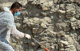 Batman’da akreplerin istila ettiği köyde ilaçlama...