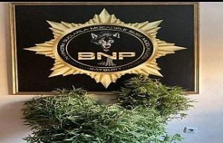 Bayburt’ta birçok adrese eş zamanlı narkotik...