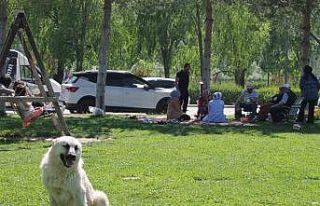 Bayburt’ta hafta sonu mesire alanları piknikçilerle...