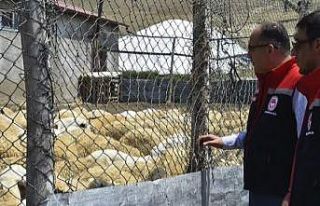 Bayburt’ta küçükbaş hayvan işletmelerindeki...