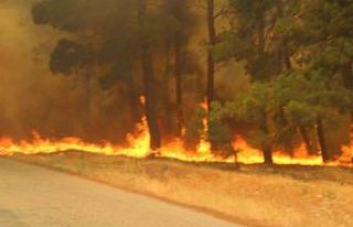 Bayramiç’te 3 köy tahliye edildi