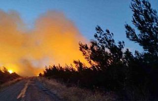 Bayramiç’teki yangını söndürme çalışmaları...