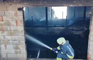 Besi ahırında çıkan yangında 6 büyükbaş hayvan...