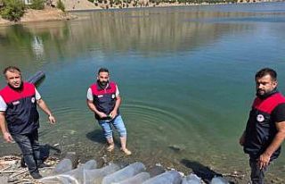 Beyhan Baraj Gölü’ne 50 bin yavru balık bırakıldı