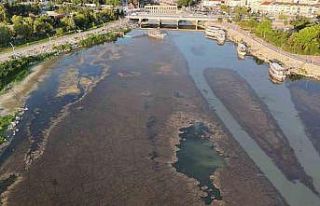 Beyşehir Gölü’nde sular çekildi, yeni adalar...