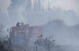 Beyşehir’de kampüs yakınlarındaki yangın korkuttu