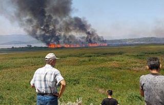 Beyşehir’de sazlık alanda çıkan yangın havadan...