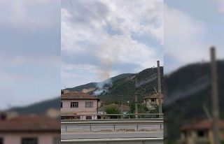 Bilecik’te orman yangını