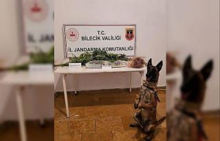 Bilecik’te uyuşturucu operasyonu