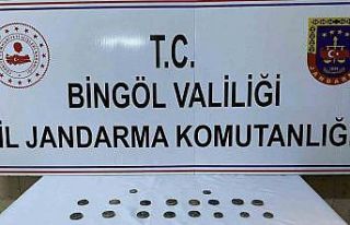 Bingöl’de 42 adet sikke ele geçirdi