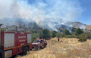 Bingöl’de köyde çıkan yangın ormana sıçradı,...