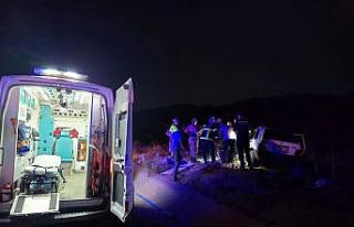 Bingöl’de otomobil ata çarptı: 2 yaralı