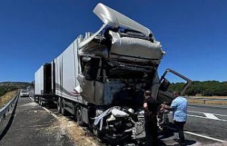 Bingöl’de trafik kazası: 1 ölü