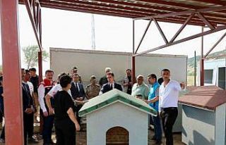 Bitlis’teki hayvan barınağı ve doğal yaşam...