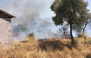 Bodrum’da otluk ve zeytinlik alanda yangın