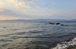 Boğulduğu sanılan dalgıç, yüzerek çıktı