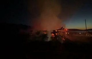 Bolu Valiliği açıkladı, yayla evleri elektrik...