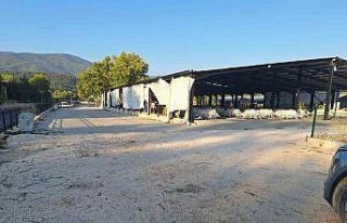 Bolu’da bıçaklı alacak-verecek kavgası: 1 yaralı